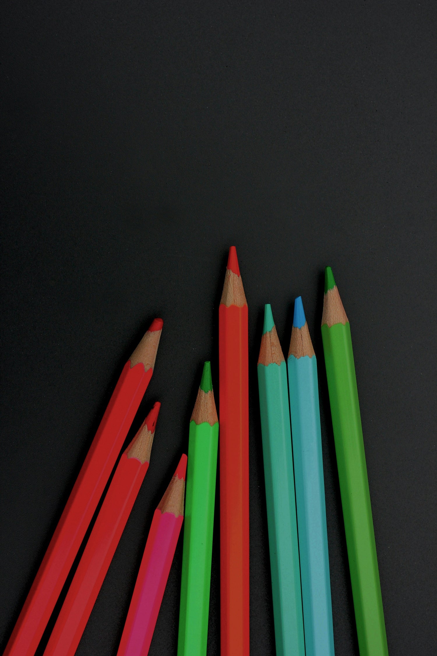 Coloring Books