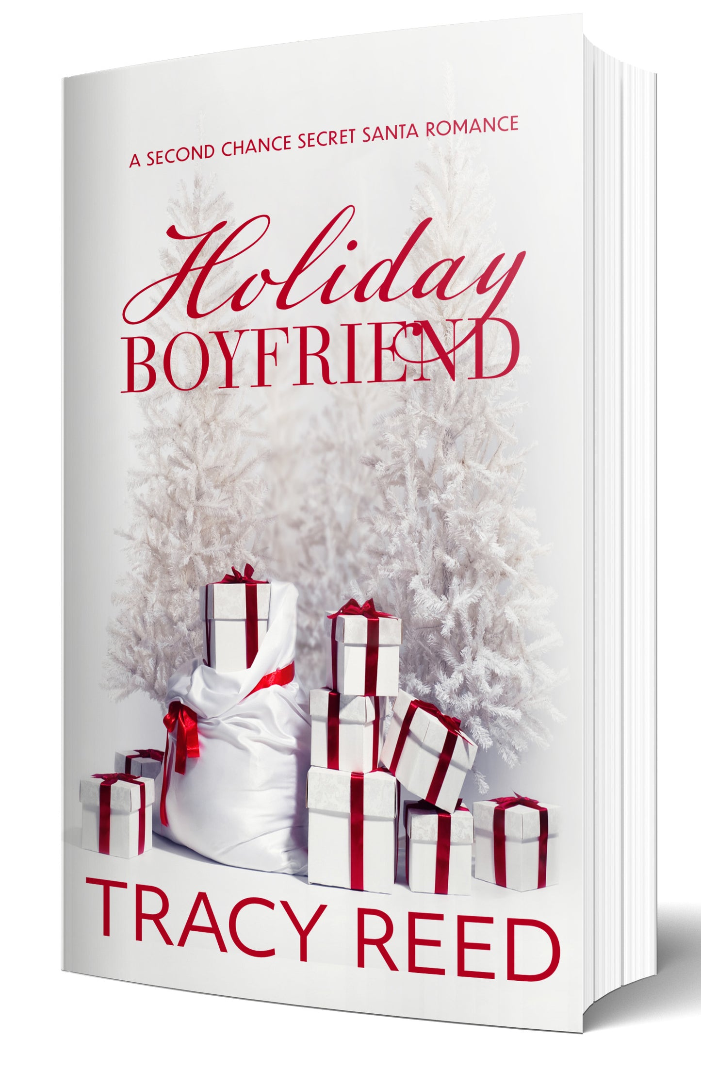 Holiday Boyfriend