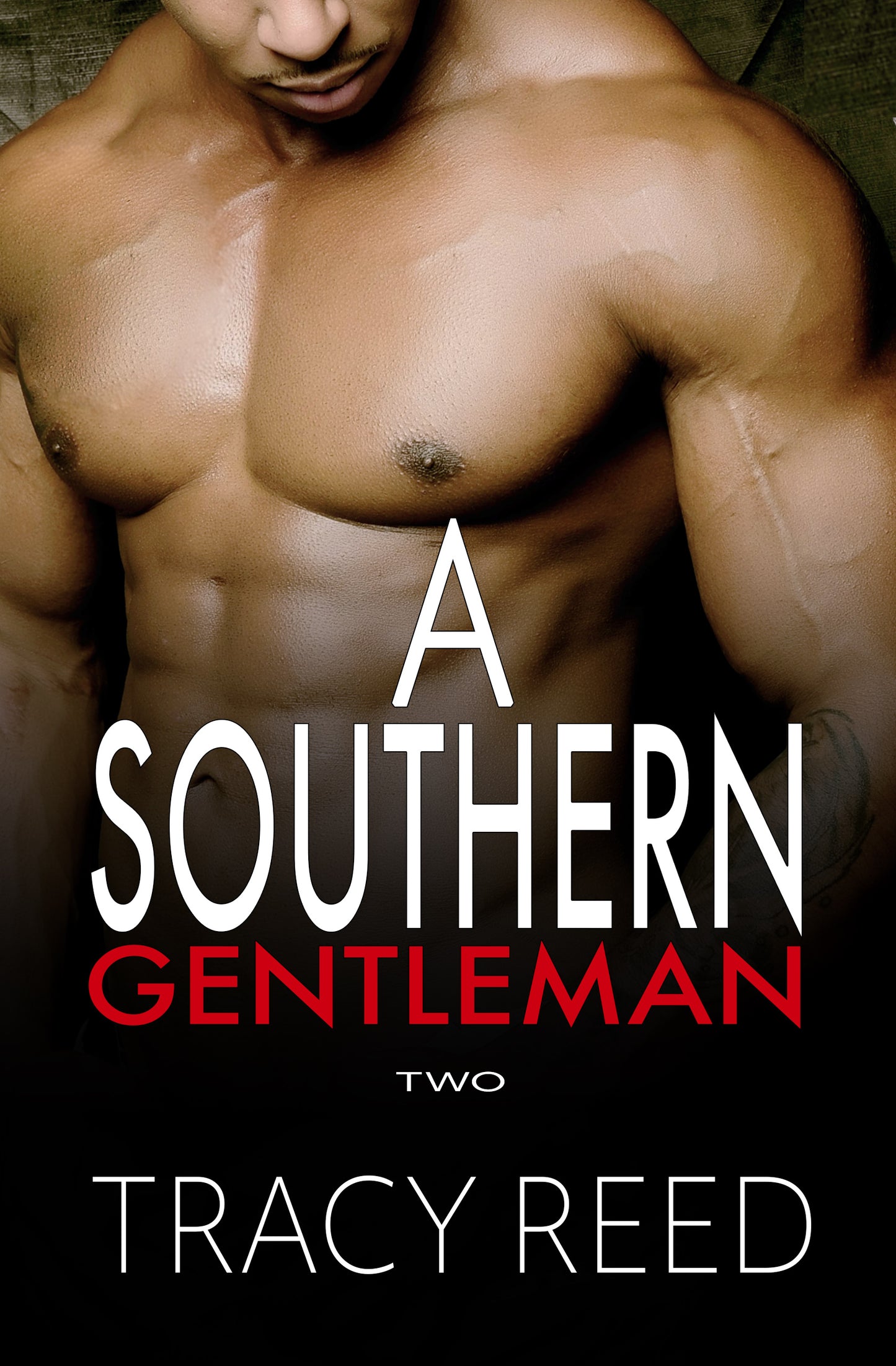 A Southern Gentleman Vol Two (A Billionaire Romance)